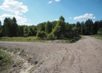 Брусника road
