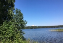 Снетково